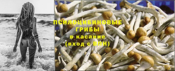 гидра Ростов