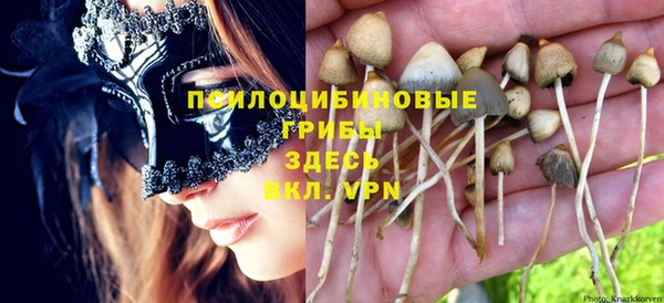 прущие крисы Абаза